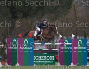 Clayton Mr Darcy TosTour 2013- S5 7258 : Arezzo Equestrian Centre, Clayton Joseph, Mr Darcy, Toscana Tour 2013, foto di Stefano Secchi ©